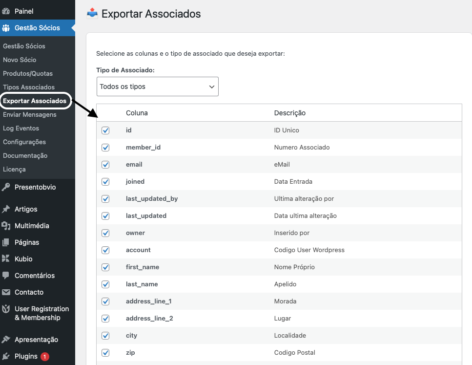 Exportação Associados para Excel